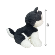 Cargar imagen en el visor de la galería, PELUCHE HUSKY - 35 CM - 1 UNID.
